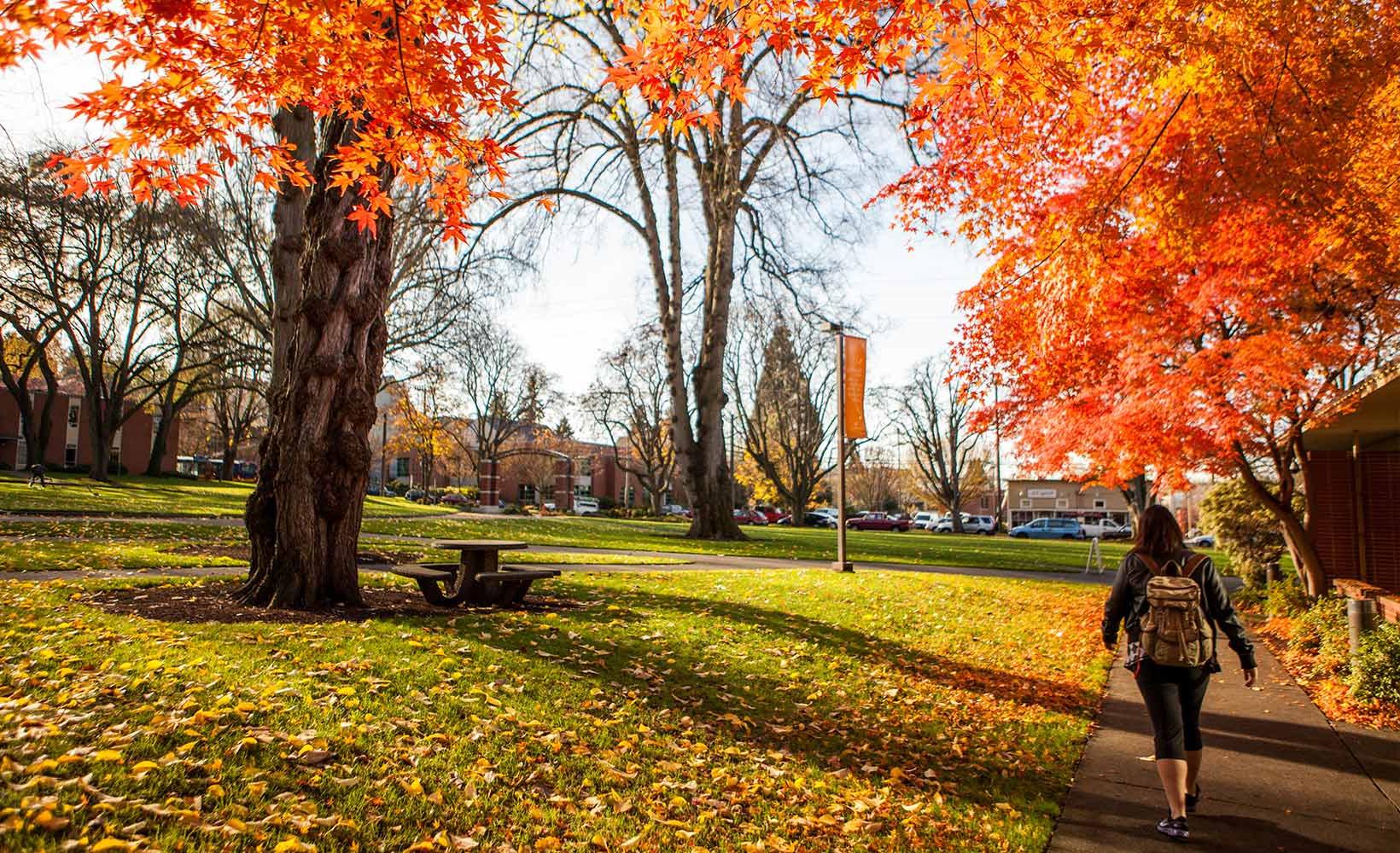 访问 the SPU Campus